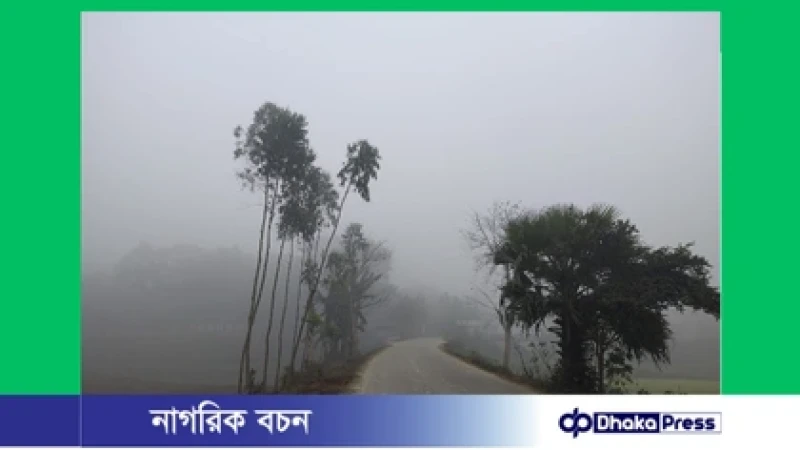 কুয়াশার চাদরে ঢাকা মাদারগঞ্জ, হাড়কাঁপানো শীতে দিশাহারা সাধারণ মানুষ