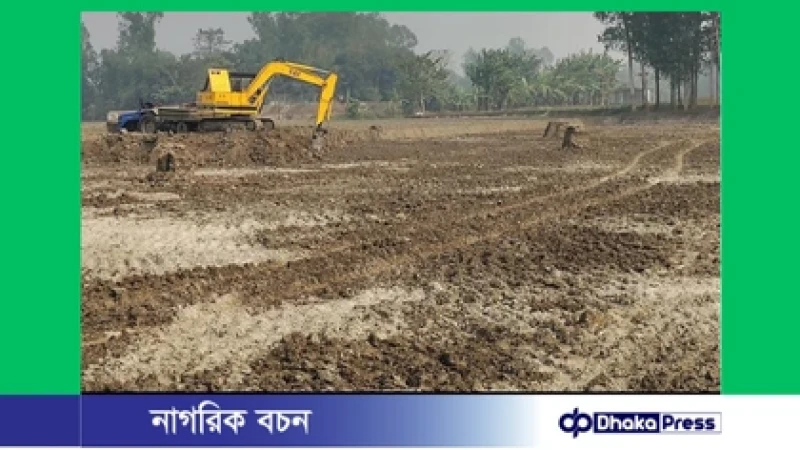 মাদারগঞ্জে তিন ফসলি জমি থেকে মাটি বিক্রির উৎসব, হুমকিতে কৃষিজমি
