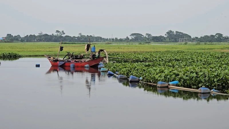 মুরাদনগরে ড্রেজারের দাপটে কমছে তিন ফসলি জমি, ক্ষতিগ্রস্ত দরদরিয়া খাল