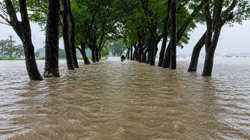 উত্তরাঞ্চলে বন্যার শঙ্কা