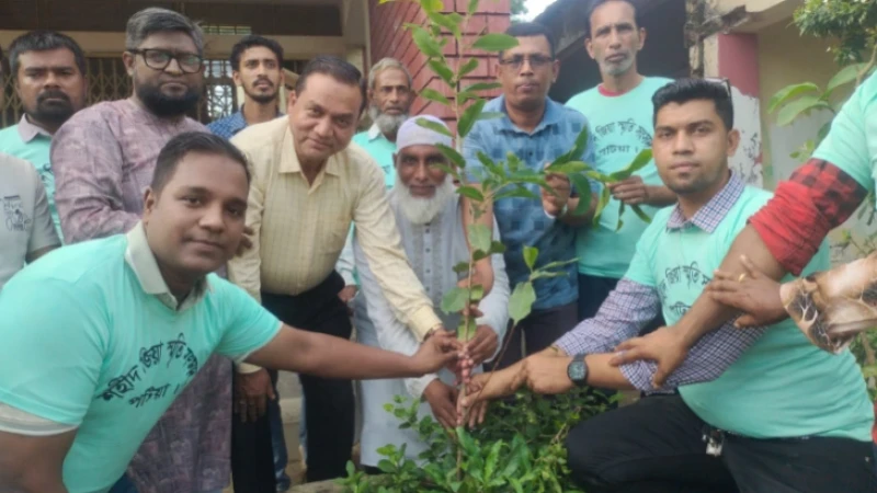 পটিয়ার ১৭ ইউনিয়নে শহীদ জিয়া স্মৃতি সংসদের বৃক্ষরোপণ কর্মসূচি সমাপ্ত