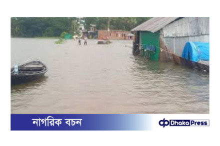 চাঁদপুরের ভয়াবহ জলাবদ্ধতা: কৃষি ও মাছচাষে বিপুল ক্ষতি