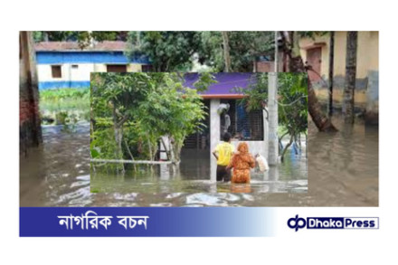 নড়াইলে ভারী বৃষ্টিতে জলাবদ্ধতা: জনজীবন বিপর্যস্ত