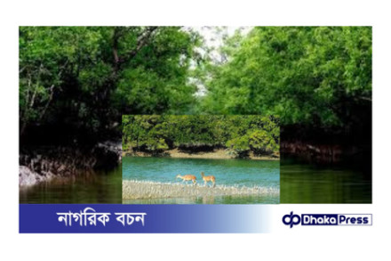 সুন্দরবনে আটকে পড়া ১১ বাংলাদেশি: দালালের ফাঁদে