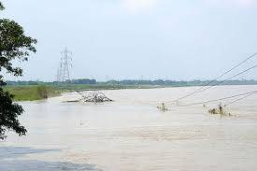 কুষ্টিয়ায় নদী ভাঙনে জাতীয় বিদ্যুৎ গ্রিডের টাওয়ার বিলীন