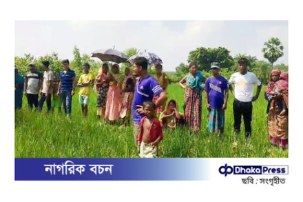 বিরামপুরে ধানক্ষেতে অজ্ঞাত নারীর মরদেহ উদ্ধার