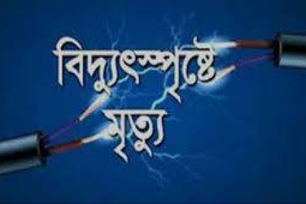 বিদ্যুৎস্পৃষ্টে স্বামী-স্ত্রীর মৃত্যু: একটি মর্মান্তিক ঘটনা