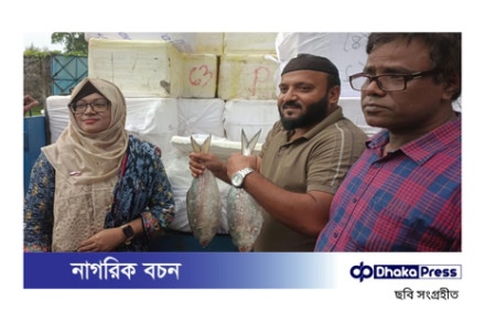 ব্রাহ্মণবাড়িয়ার আখাউড়া স্থলবন্দর দিয়ে ভারতে ইলিশ রপ্তানি