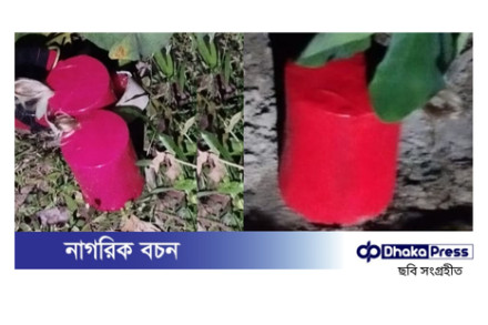 পঞ্চগড়ে যুবদলের কর্মীসভায় ককটেল বিস্ফোরণ