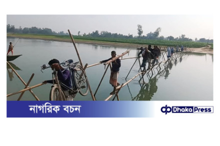 পলাশবাড়ীতে ৫ গ্রামের মানুষের একমাত্র ভরসা বাঁশের সাঁকো