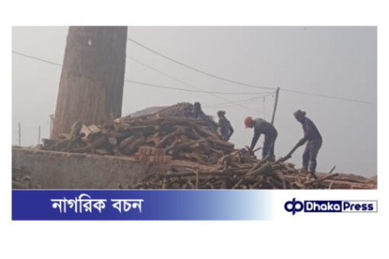 সাতক্ষীরা শ্যামনগরে লাইসেন্স বিহীন ইটভাটায় পুড়ছে কাঠ কালো ধোয়ায় অতিষ্ঠ বসতি এলাকা