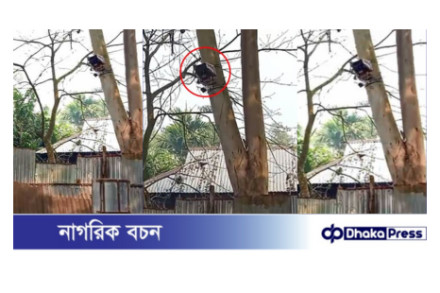 ভারত বাংলাদেশ সীমান্তের শূন্যরেখায় সিসি ক্যামেরা বসালো বিএসএফ