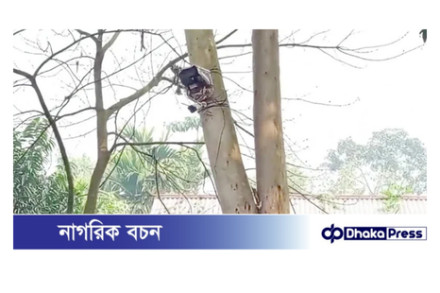 কুড়িগ্রাম সীমান্তে শূন্যরেখায় বসানো সিসি ক্যামেরা সরিয়ে নিল বিএসএফ