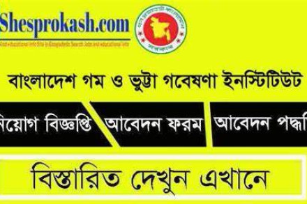 ষষ্ঠ গ্রেডে  গম ও ভুট্টা গবেষণা ইনস্টিটিউটে চাকরির সুযোগ