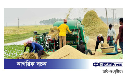 ফলন ও দামে খুশির হাসি চলনবিলের কৃষকের মুখে
