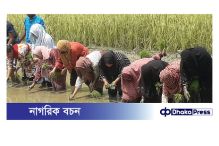 চিলমারীতে কুড়িগ্রাম কৃষি বিশ্ববিদ্যালয়ের শিক্ষার্থীদের দিনব্যাপী হাতে-কলমে শিক্ষা সফর