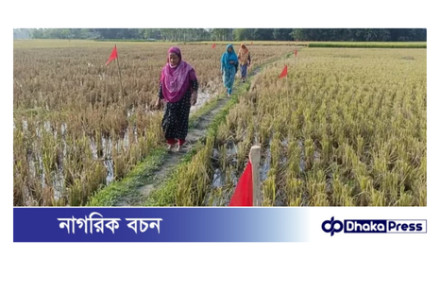 ১২ বছর পর আওয়ামী লীগ নেতার দখল থেকে সরকারি সড়ক উদ্ধার