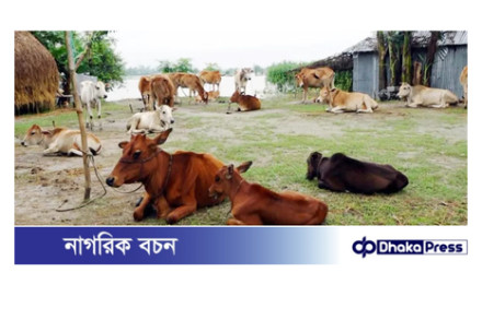 কুড়িগ্রাম আর মঙ্গা কবলিত নয়,স্বাবলম্বী কাতারে