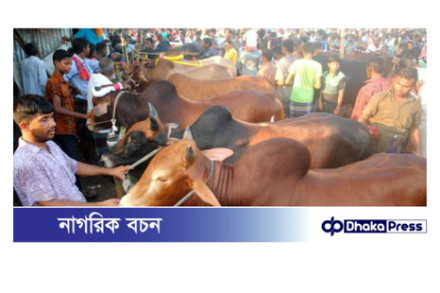 যানজট ভোগান্তি প্রধান সমস্যা সল্টগোলায় অস্থায়ী পশুর হাট অপসারণের দাবি স্থানীয় বাসিন্দাদের