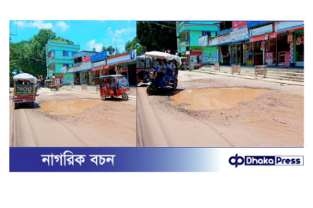 খানাখন্দে ভরা ১ম শ্রেণির পৌরসভার সড়ক