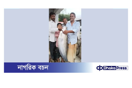 ধরলা বড়শিতে ধরা পড়লো ৭ কেজির চিতল