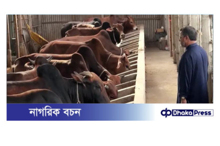 কুড়িগ্রামে কোরবানির জন্য প্রস্তুত পোঁনে দুই লাখ পশু 