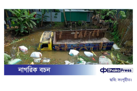 রাজবাড়ীতে গরুবাহী ট্রাক খাদে পড়ে দুই ব্যবসায়ী নিহত