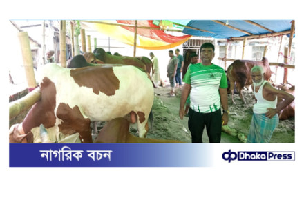 কোরবানির গরু ক্রয়ের জন্য স্বাগতম সুলতানা এগ্রো ফার্মে