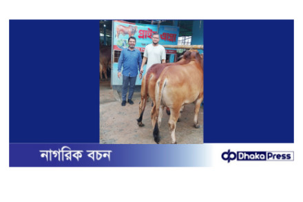 পতেঙ্গায় প্রাইম এগ্রোর সুন্দর ও পছন্দনীয় গরু বিক্রয় কার্যক্রম চলছে