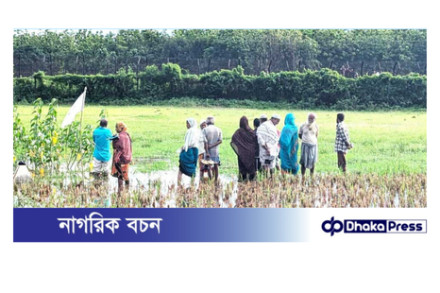কুড়িগ্রাম সীমান্তে বিএসএফের পুশইন মে মাসেই ১১৬