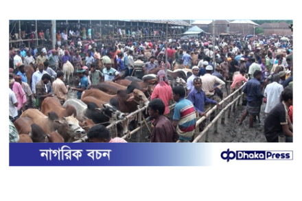 শেষ মুহূর্তে জমে উঠেছে কুড়িগ্রামে পশুর হাটগুলো