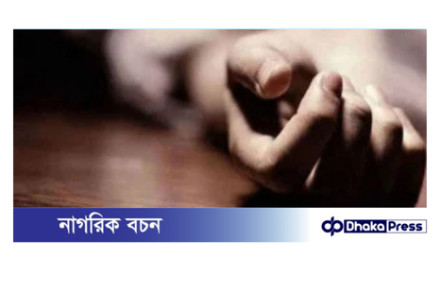 ঝিনাইদহে বিএনপির দুই পক্ষের সংঘর্ষে নিহত দুই ভাই