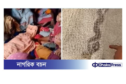 বিষধর সাপের কামড়ে কুড়িগ্রামে নারীর মৃত্যু