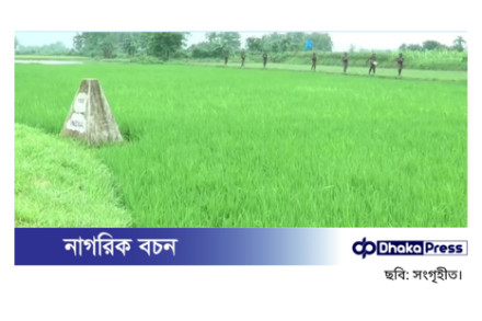মেহেরপুর সীমান্তে বিএসএফের পুশইন, নারী-শিশুসহ ৮ জন আটক