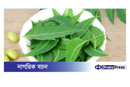 খালি পেটে নিম পাতা খাওয়ার অসাধারণ উপকারিতা