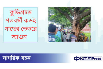 কুড়িগ্রামে শতবর্ষী কড়ই গাছের ভেতরে আগুন