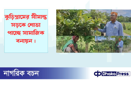 কুড়িগ্রামের সীমান্ত সড়কে শোভা পাচ্ছে সামাজিক বনায়ন