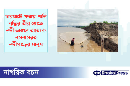 চারঘাটে পদ্মায় পানি বৃদ্ধির তীব্র শ্রোতে নদী ভাঙ্গনে আতংক বসবাসরত নদীপাড়ের মানুষ
