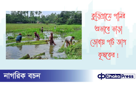 কুড়িগ্রামে পানির অভাবে ভাড়া ডোবায় পাট জাগ কৃষকের 
