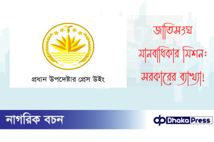 জাতিসংঘ মানবাধিকার মিশন: সরকারের ব্যাখ্যা