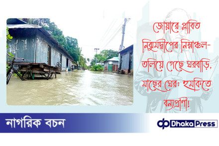 জোয়ারে প্লাবিত নিঝুমদ্বীপের নিম্নাঞ্চল-তলিয়ে গেছে ঘরবাড়ি, মাছের ঘের; হুমকিতে বন্যপ্রাণী