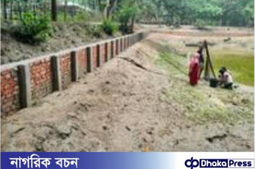 পলাশবাড়ীতে টিআর কাবিখা কাবিটা প্রকল্পের কাজ শতভাগ সম্পর্ন