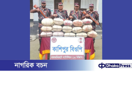 কুড়িগ্রামে বিজিবির অভিযানে ৮২ কেজি গাঁজা জব্দ