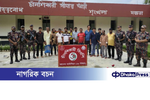 চাঁপাইনবাবগঞ্জের চামুশা সীমান্ত দিয়ে ১৩ জনকে পুশ-ইন