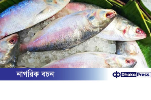 ইলিশ খাওয়ার উপকারিতা