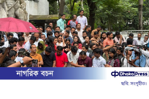 গণতান্ত্রিক প্রক্রিয়ায় ডাকসুর প্যানেল ঘোষণা করেছে ছাত্রদল