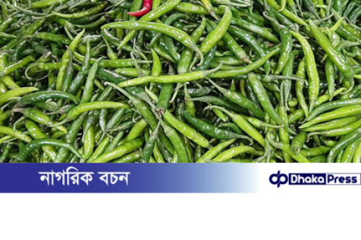 এক লাফে কাঁচা মরিচের দাম কমল ৪০ টাকা