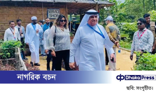 উখিয়ায় রোহিঙ্গা শিবির ঘুরে দেখলেন দেশি-বিদেশি প্রতিনিধিরা
