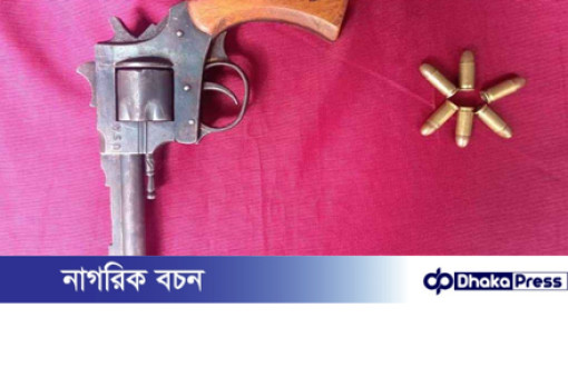 সীমান্তে বিজিবির অভিযানে বিদেশি রিভলভার ও গুলি উদ্ধার