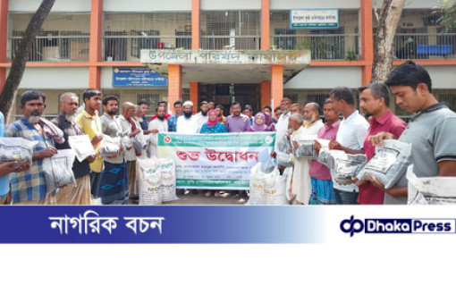 নাটোরের বড়াইগ্রামে ক্ষুদ্র কৃষকদের মাঝে বিনামূল্যে মাসকালাই বীজ ও সার বিতরণ